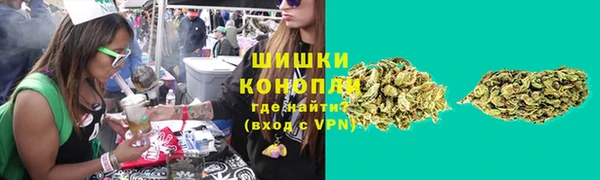 прущие крисы Белокуриха