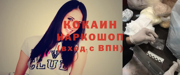 шишки Беломорск
