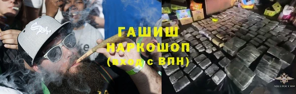 шишки Беломорск